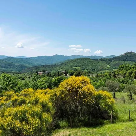 بيت للعطل In Monte Santa Maria With Pool